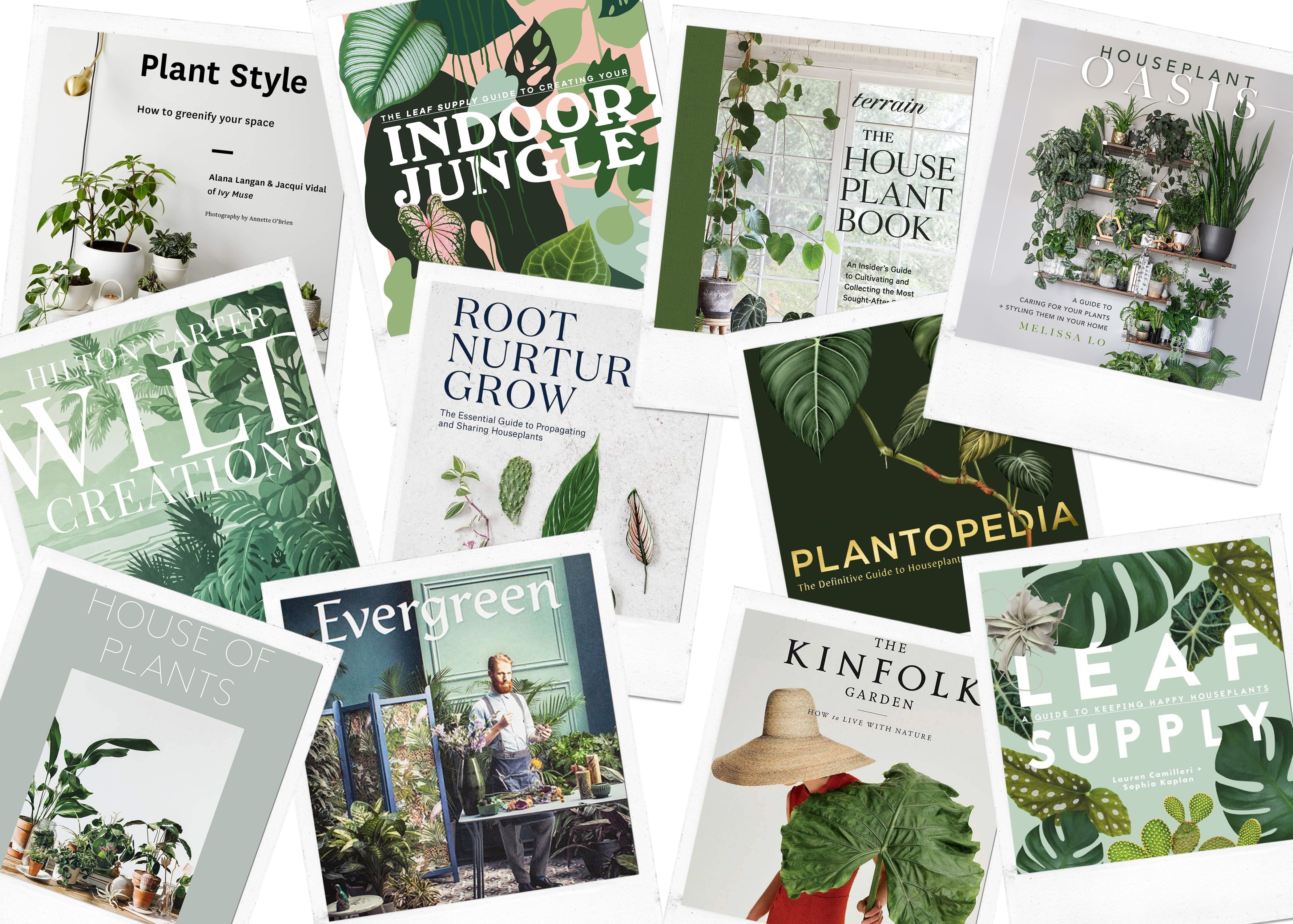 files/PLANT_HEADER.jpg