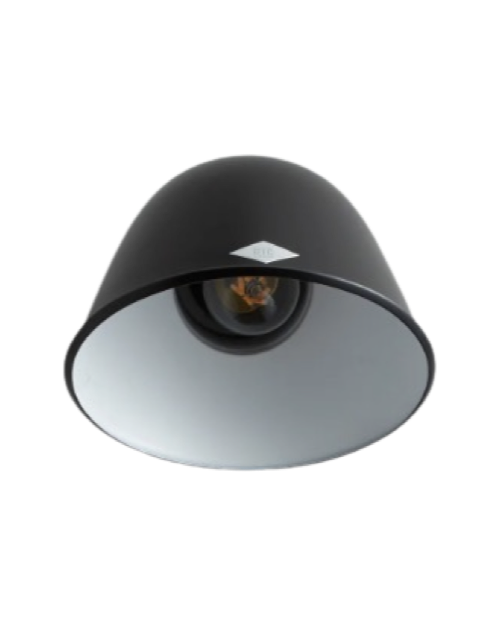 Ginger Wall Light