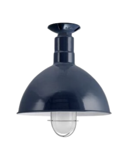 Wilcox Flush Mount Light