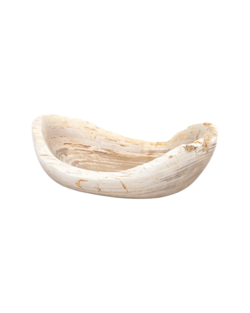Oval Petrified Wood Bowl