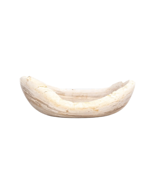 Oval Petrified Wood Bowl