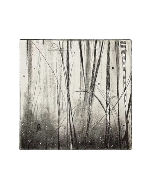 In The Fairy Woods Etching