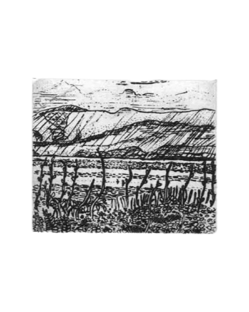 View Of The Bay Etching