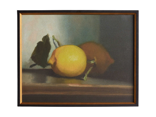 Morning Citrus III Framed Print