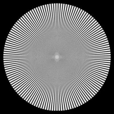 Optical Illusion Canvas Print