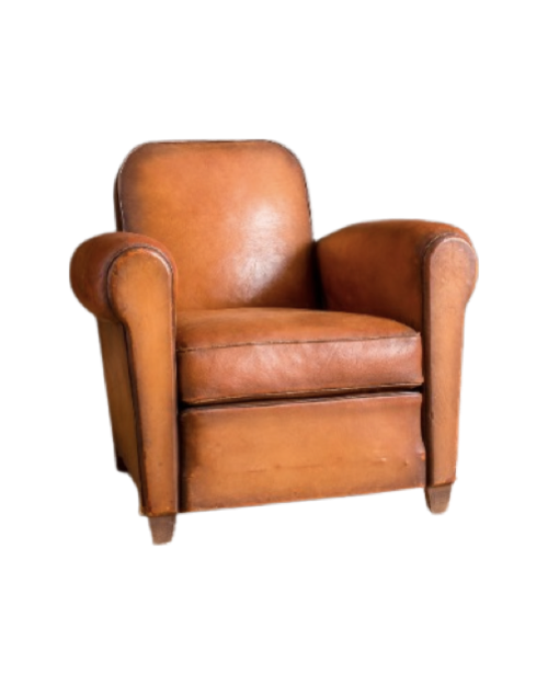 Vesoul Library Solo Leather French Club Chair