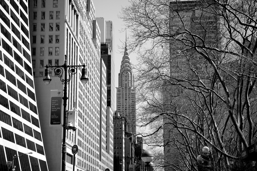 Bryant Park Empire State View