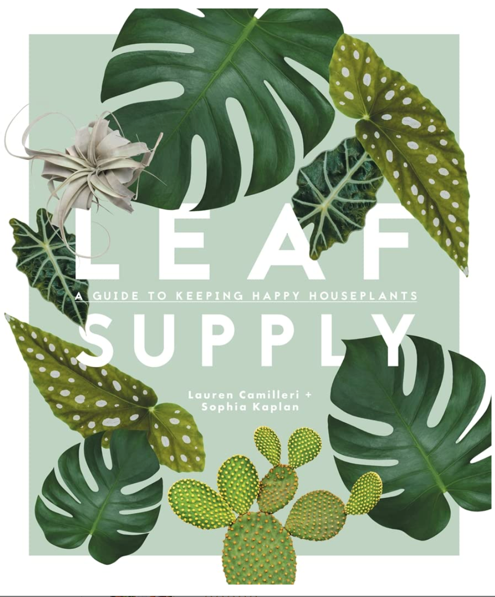 Leaf Supply