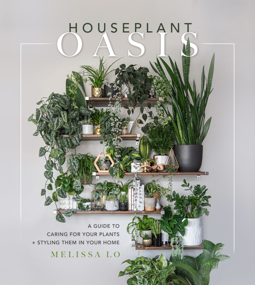 Houseplant Oasis