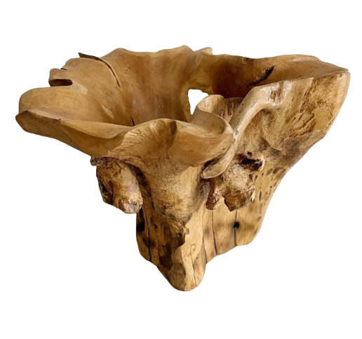 Sculptural  Wood Centerpiece Bowl