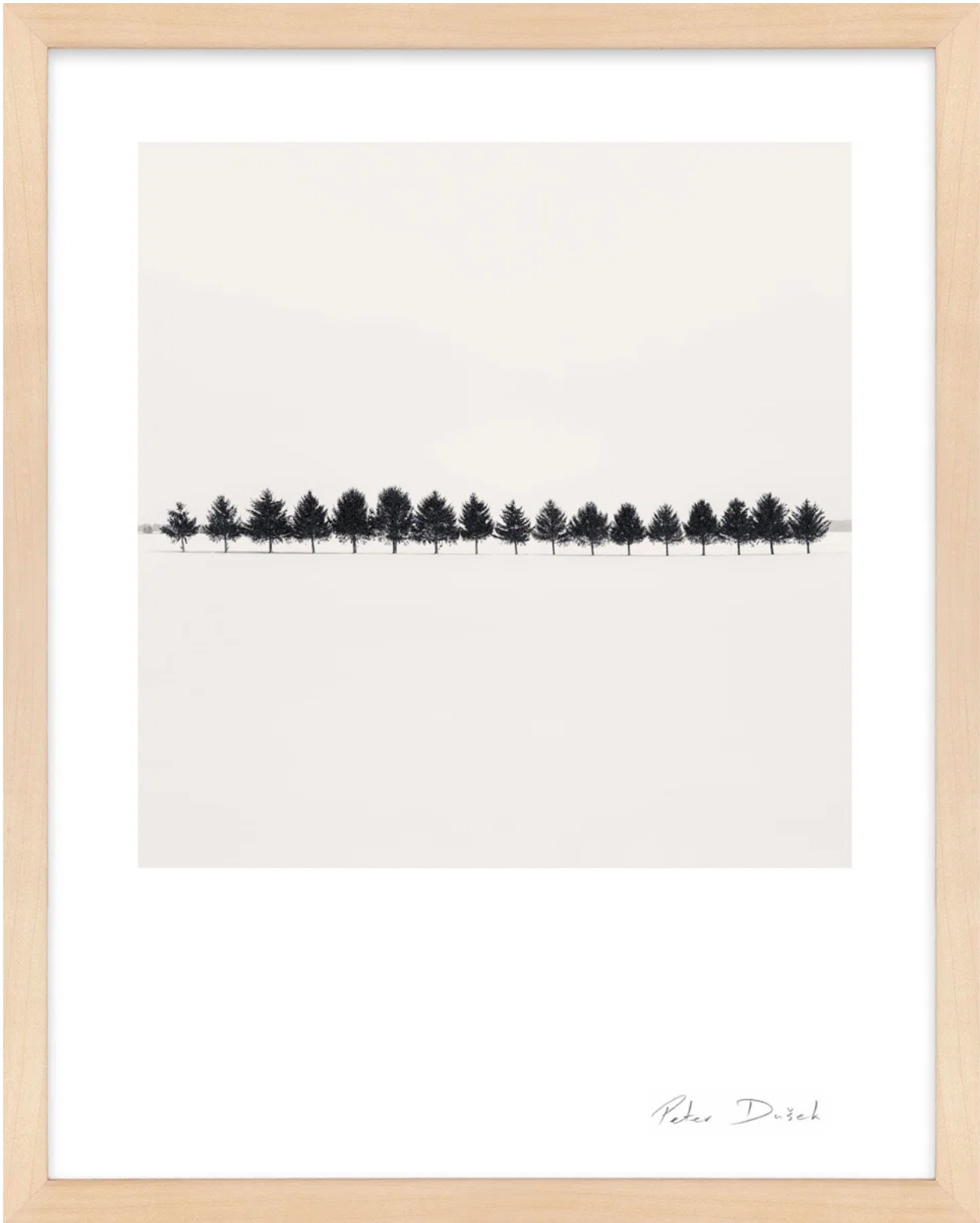 Seventeen Trees by Peter Dušek