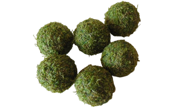 Moss Covered Balls