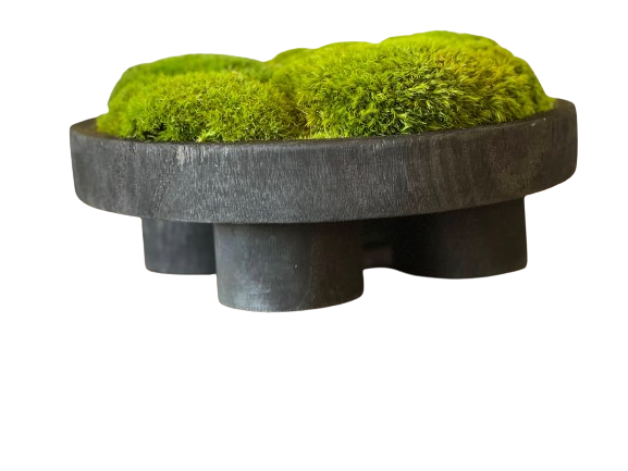 Moss Bowl Arrangement