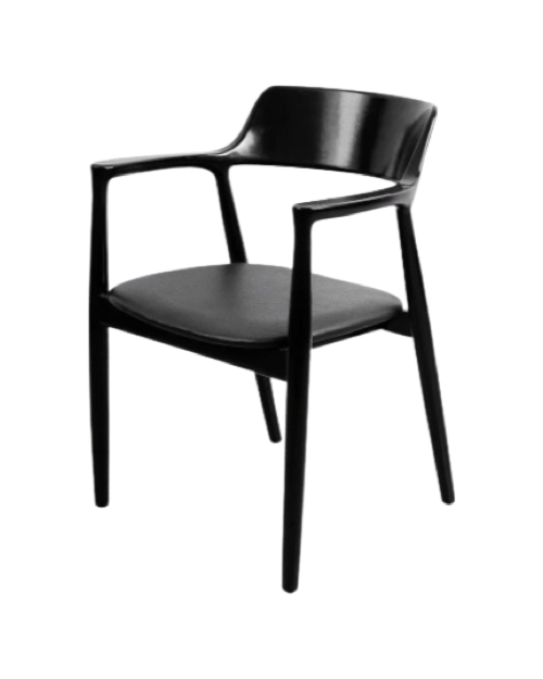 Pavels Dining Chair