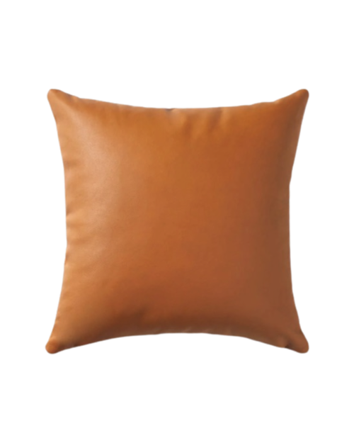 Torres Leather Pillow