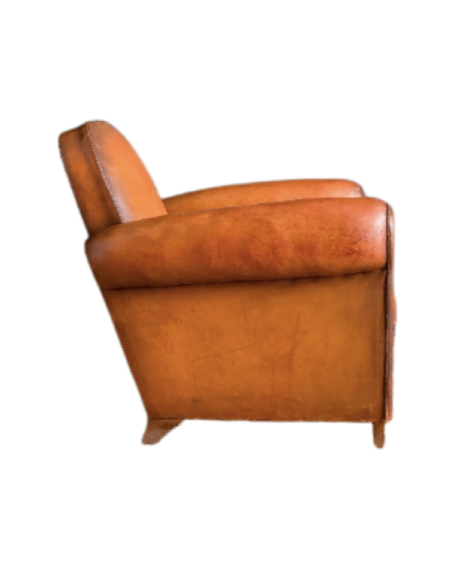 Vesoul Library Solo Leather French Club Chair