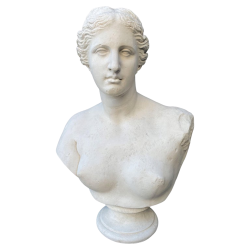 Bust of Aphrodite Venus