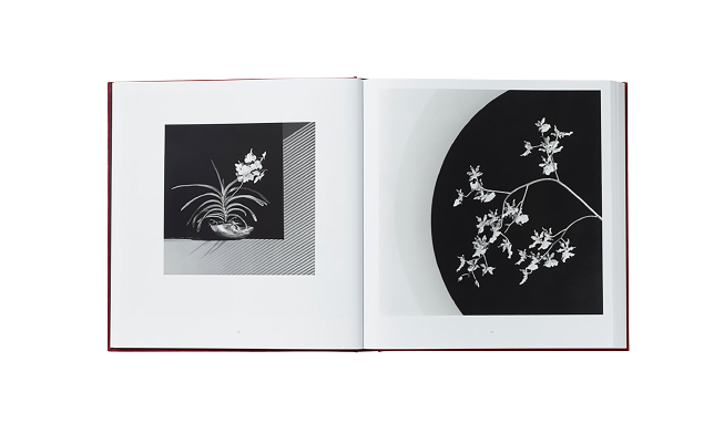 Mapplethorpe Flora: The Complete Flowers