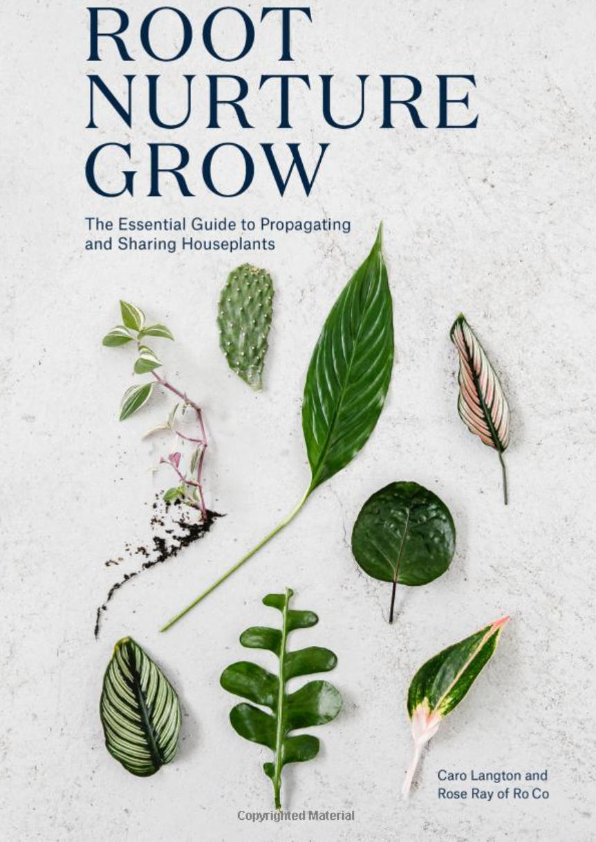 Root Nurture Grow