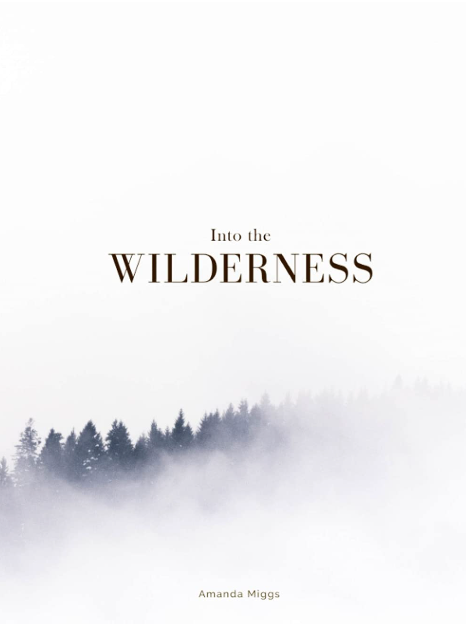 Into The Wilderness